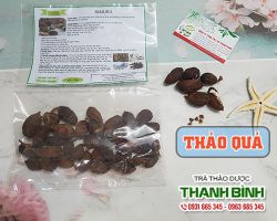 Thảo Quả [ TÁC DỤNG, CÁCH LÀM ] MUA Ở ĐÂU NGUYÊN CHẤT GIÁ RẺ ?